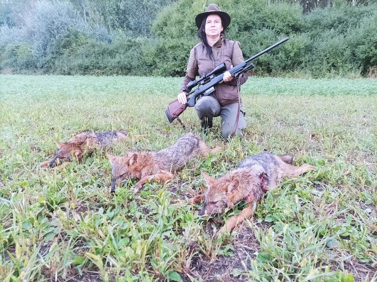 Fuchs- und Schakaljagdpakete im Komitat Szolnok, Mittelungarn