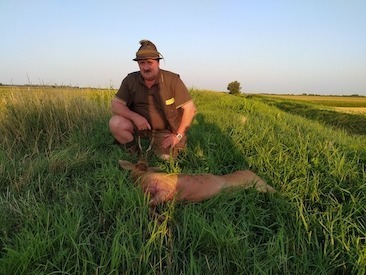 Rehbockjagd mit „Aranyfürt“ Jagdgesellschaft, in der Nähe von Szekszárt, Komitat Tolna, Mittelungarn