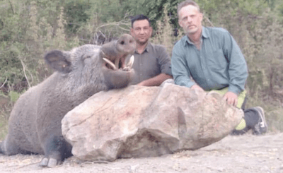 Wildschwein Pirschjagd in der Turkei